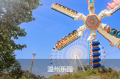 温州网站建设与数字服务全指南 从网页设计到APP开发