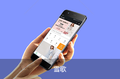 温州网站建设与数字服务全攻略 从网页设计到小程序开发